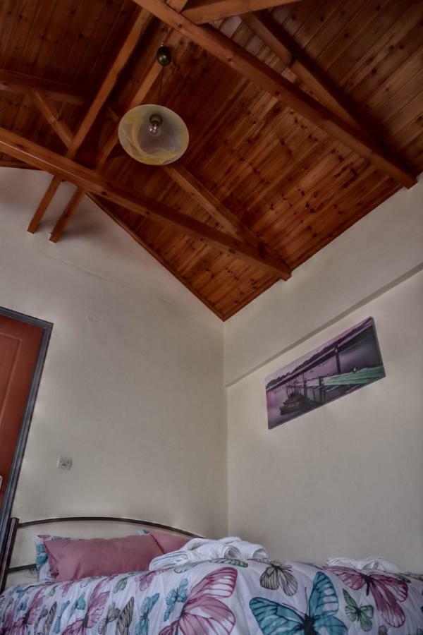 Cozy Loft Apartament *
